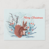 クリスマスリスの果実フローラ水色 シーズンポストカード (正面)