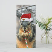 クリスマスリス (スタンド正面)