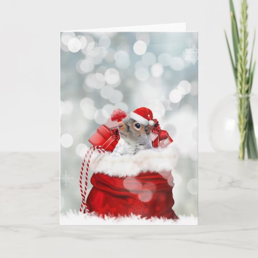 クリスマスリス シーズンカード (正面)