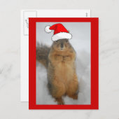 クリスマスリス シーズンポストカード (正面/裏面)