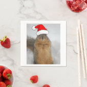 クリスマスリス スタンダードカクテルナプキン (インサイチュ)