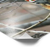 クリスマスリス フォトプリント            (角)