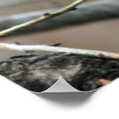 クリスマスリス ポスター (角)