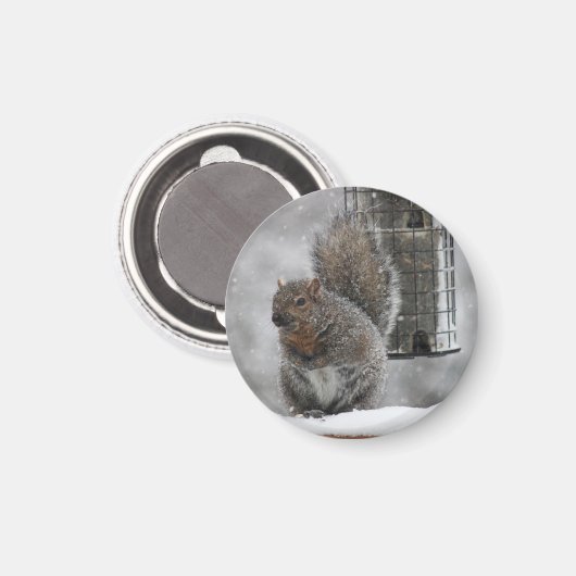 クリスマスリス マグネット (正面/裏面)