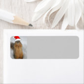 クリスマスリス ラベル (インサイチュ)