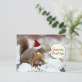 クリスマスリス（雪） シーズンポストカード (スタンド正面)