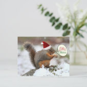 クリスマスリス（雪） シーズンポストカード (スタンド正面)