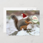 クリスマスリス（雪） シーズンポストカード (正面/裏面)