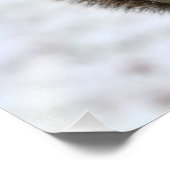 クリスマスリス（雪） フォトプリント            (角)