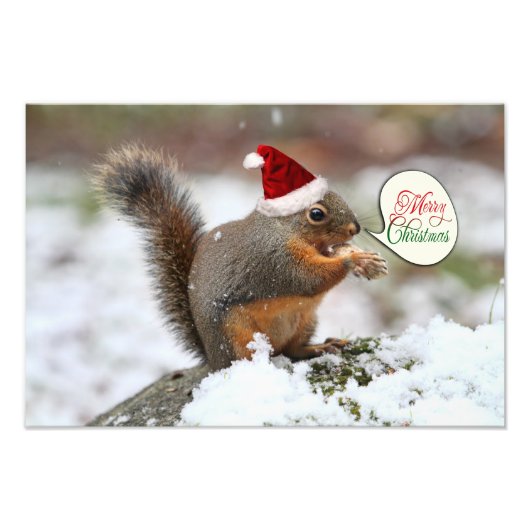 クリスマスリス（雪） フォトプリント            (正面)