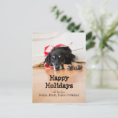 クリスマスリボンを飾った犬 シーズンポストカード (スタンド正面)