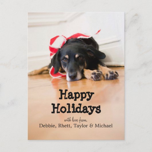 クリスマスリボンを飾った犬 シーズンポストカード (正面)