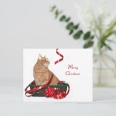 クリスマスリボン子猫 シーズンポストカード (スタンド正面)