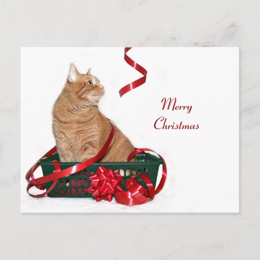 クリスマスリボン子猫 シーズンポストカード (正面)