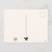 クリスマスリースと深紅色あいさつ葉書 シーズンポストカード (裏面)