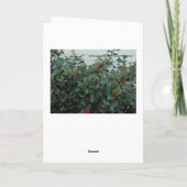 クリスマスリースオンザドア シーズンカード (裏面)