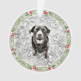 クリスマスリース ペット写真 テキスト ホリデー オーナメント