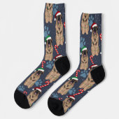 クリスマスレオンベルガー ソックス (左)