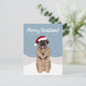 クリスマスレオンベルガー ポストカード (スタンド正面)