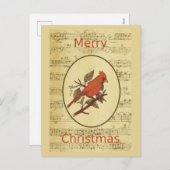 クリスマスレッドバード(鳥)ショウジョウコウカンチョウ音楽 シーズンポストカード (正面/裏面)