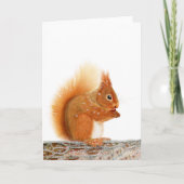 クリスマスレッドリス カード (正面)