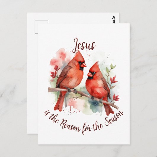 クリスマスレッド（鳥）ショウジョウコウカンチョウイエズスの季節の理由 ポストカード (正面/裏面)