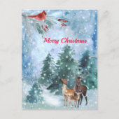 クリスマスレッド(鳥)ショウジョウコウカンチョウディアランドスケープウォーター色 シーズンポストカード (正面)