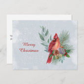 クリスマスレッド（鳥）ショウジョウコウカンチョウビジネスウォーターカラー シーズンポストカード (正面/裏面)