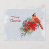 クリスマスレッド(鳥)ショウジョウコウカンチョウポインセチア事業 シーズンポストカード (正面)