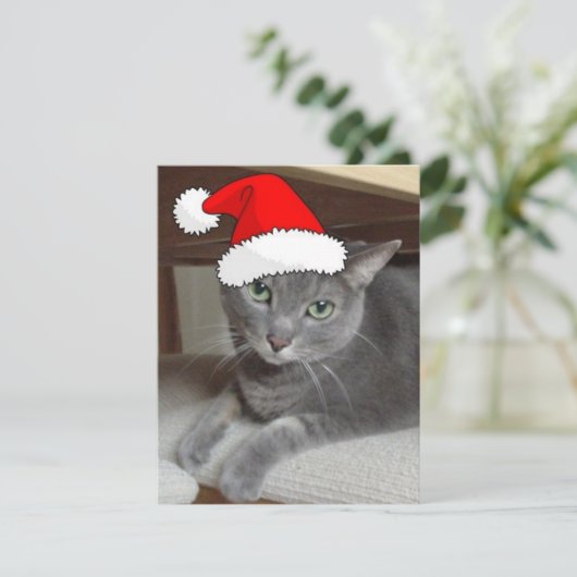 クリスマスロシアのブルーグレー猫 シーズンカード (スタンド正面)