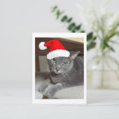 クリスマスロシアのブルーグレー猫 シーズンポストカード (スタンド正面)