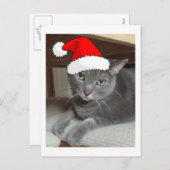 クリスマスロシアのブルーグレー猫 シーズンポストカード (正面/裏面)