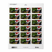 クリスマスロットワイラー子犬 ラベル (フルシート)