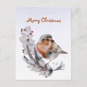 クリスマスロビンレッドブレストフローラウォーターカラー シーズンポストカード (正面)