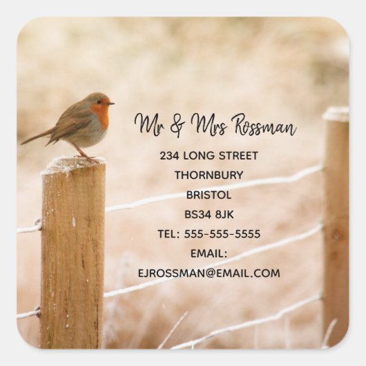 クリスマスロビン住所ステッカーの変更 スクエアシール (正面)