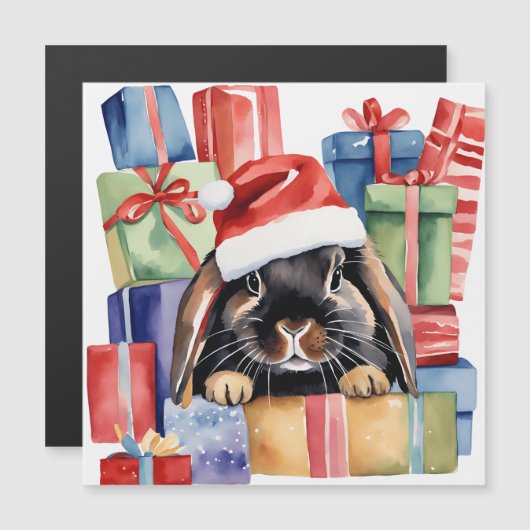 クリスマスロプバニーウサギ (正面/裏面)