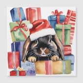 クリスマスロプバニーウサギ (正面)