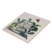 クリスマスローズ(Helleborusニジェール)および冬Aconi タイル (側面)