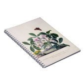 クリスマスローズ(Helleborusニジェール)および冬Aconi ノートブック (右側)