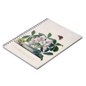 クリスマスローズ(Helleborusニジェール)および冬Aconi ノートブック (左側)