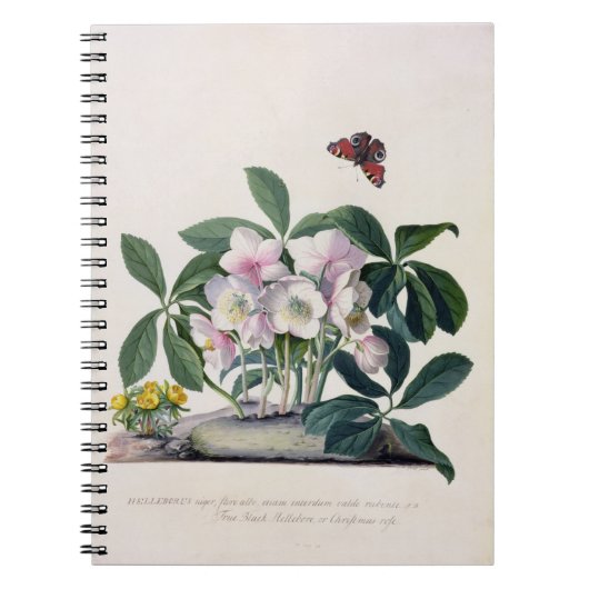 クリスマスローズ(Helleborusニジェール)および冬Aconi ノートブック (正面)