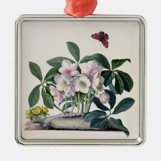 クリスマスローズ(Helleborusニジェール)および冬Aconi メタルオーナメント (正面)