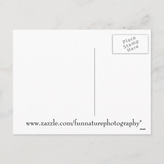 クリスマスワードクラウドポストカード シーズンポストカード (裏面)