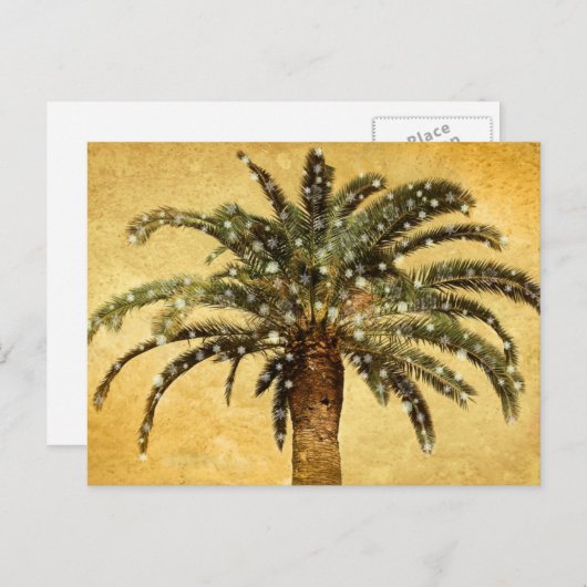 クリスマスヴィンテージトロピカルパームツリーwスノーフレーク シーズンポストカード (正面/裏面)
