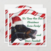 クリスマス乗馬馬ポニー小屋パーティー 招待状 (正面/裏面)