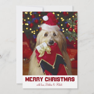 クリスマス付き犬ストッキング シーズンカード