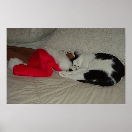 クリスマス信じ ポスター (正面)