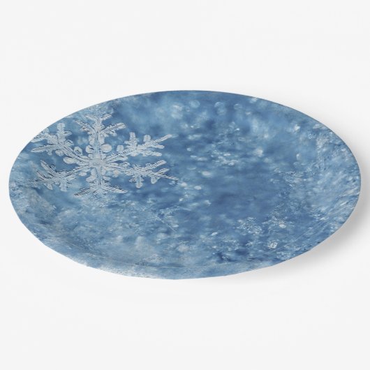 クリスマス凍っていの雪 ペーパープレート (アングル)