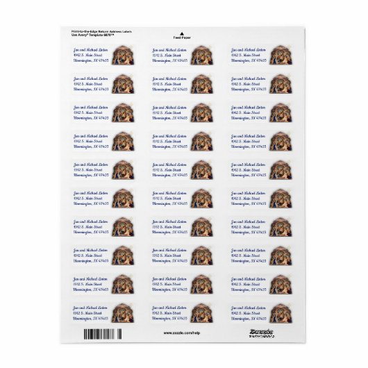 クリスマス出生スターのパーソナライズ差出人住所 ラベル (フルシート)