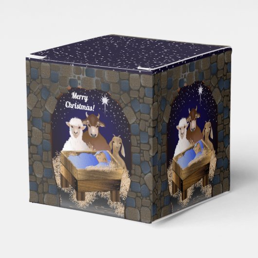 クリスマス出生ベビーイエス フェイバーボックス (正面サイド)